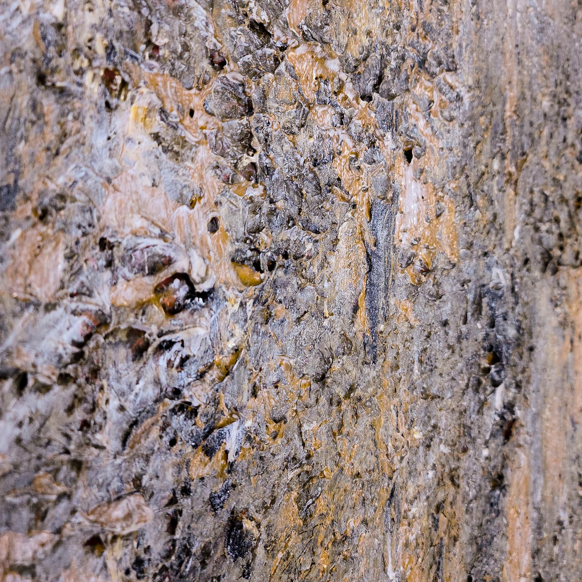 Gray Day thumbnail 8