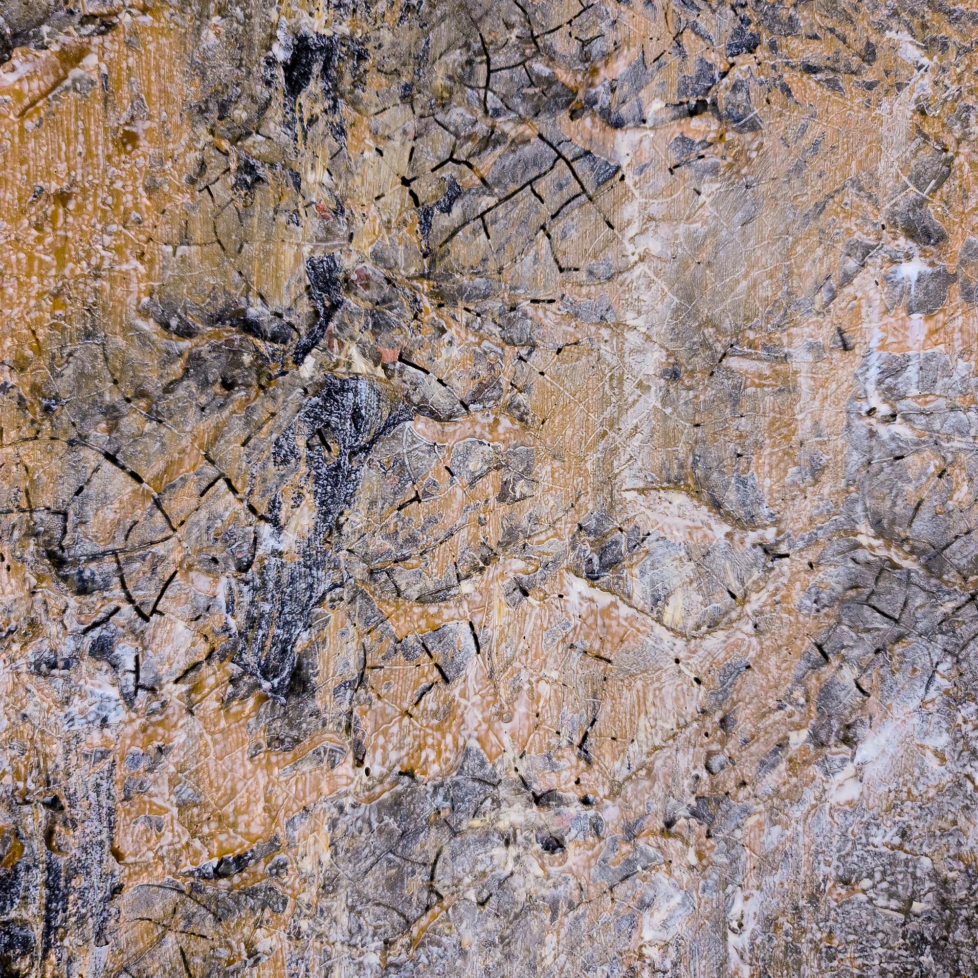 Gray Day thumbnail 9