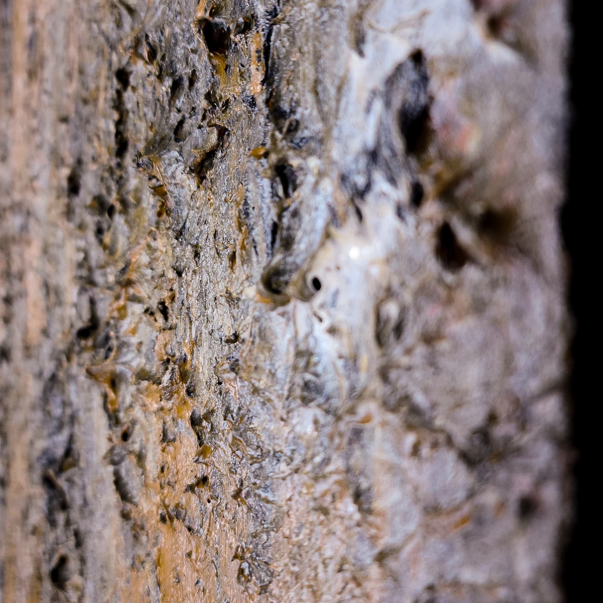 Gray Day thumbnail 7