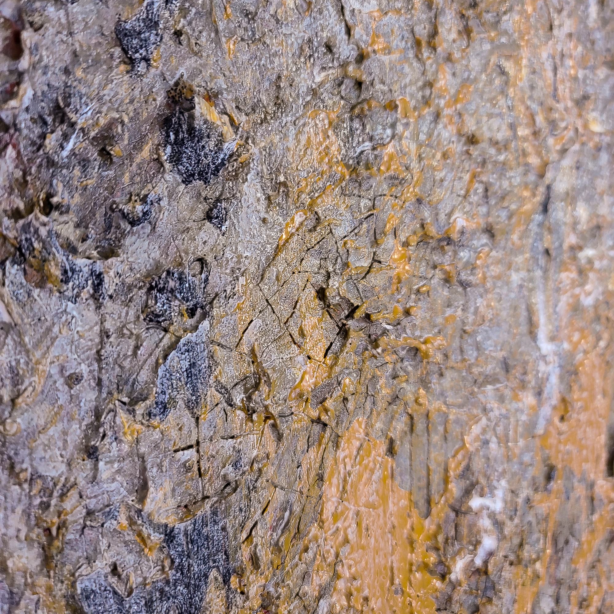 Gray Day thumbnail 10