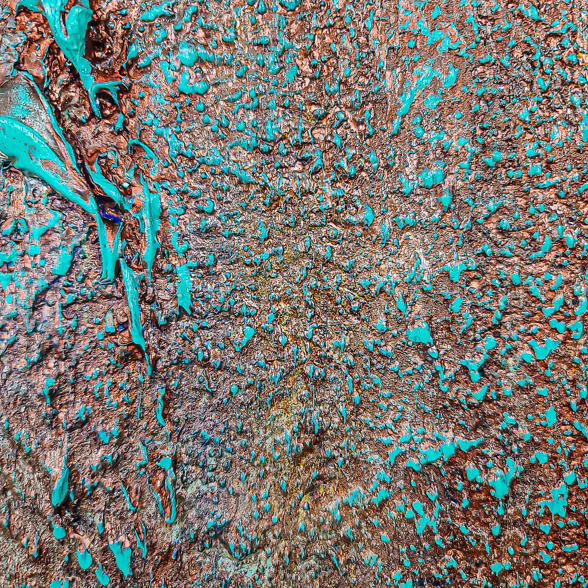 Mushrooms thumbnail 10