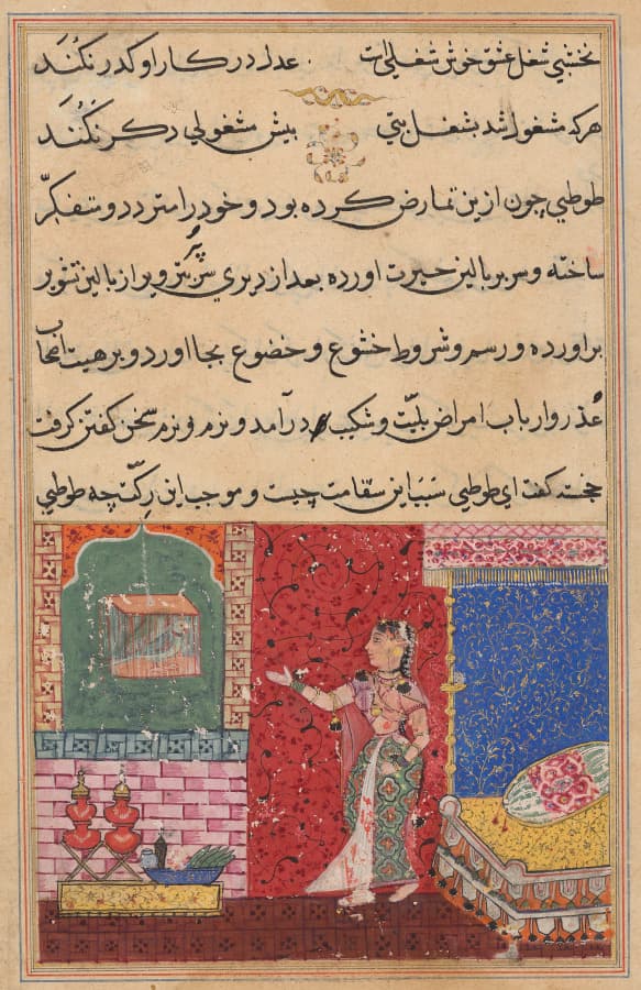 The Parrot Addresses Khujasta at the Beginning of the Fifteenth Night, from a Tuti-nama (Tales of a Parrot)