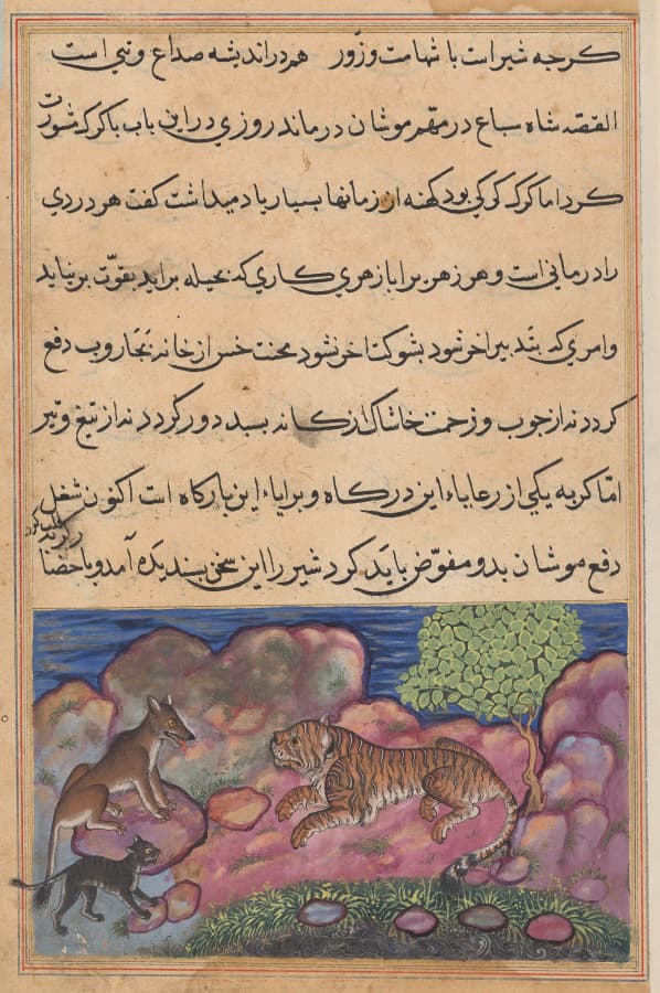 The wolf advises the lion to consult the cat, from a Tuti-nama (Tales of a Parrot): Fifteenth Night