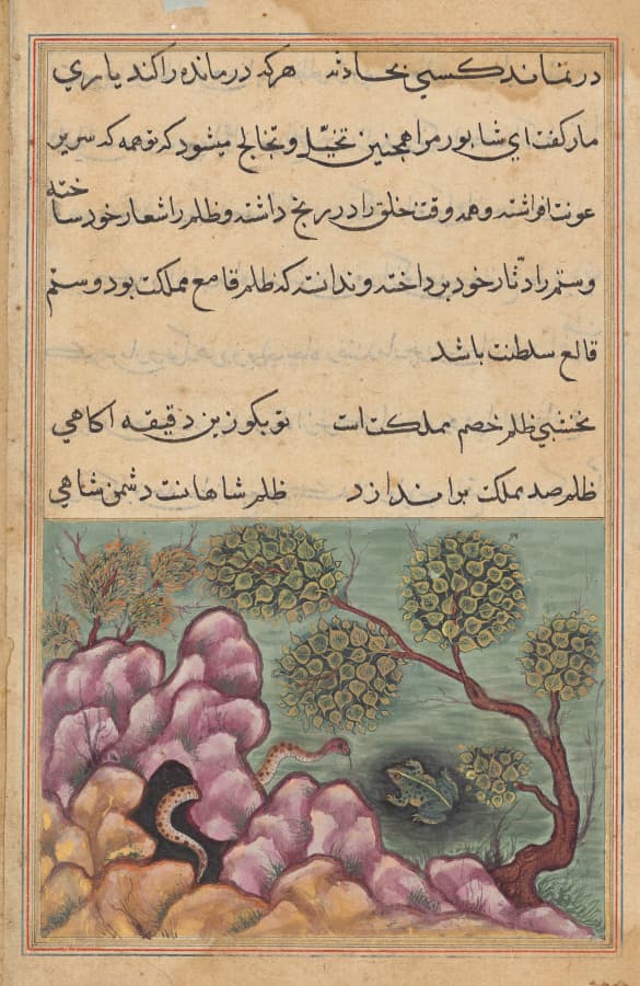 The dethroned frog Shapur seeks the help of the serpent, from a Tuti-nama (Tales of a Parrot): Twenth-sixth Night