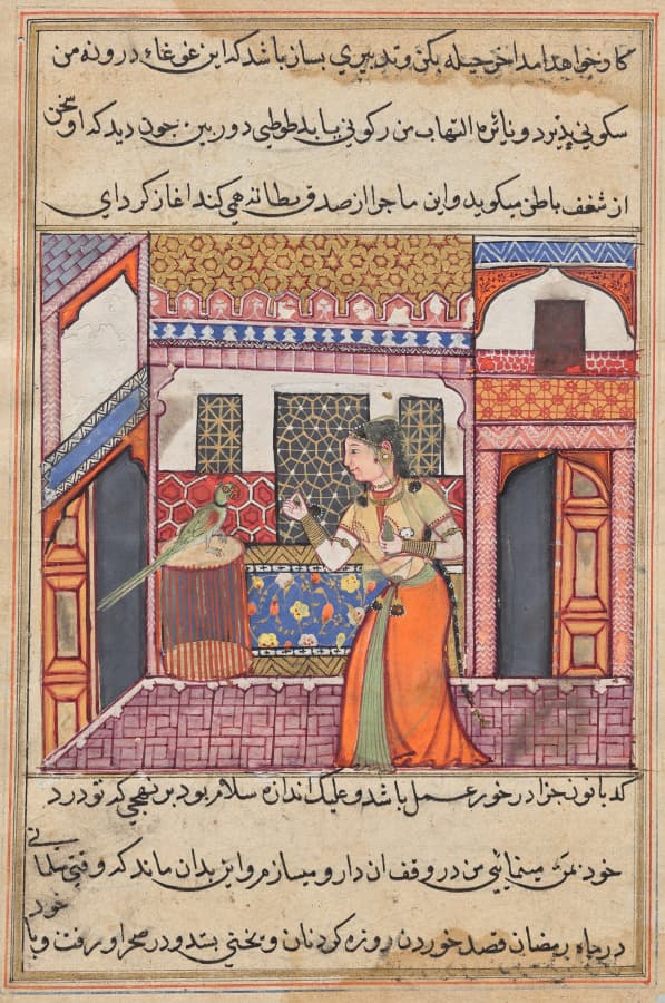 The parrot addresses Khujasta at the beginning of the forty-third night, from a Tuti-nama (Tales of a Parrot)