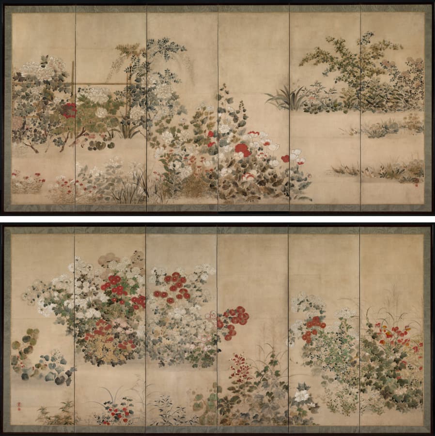 Flowers and Grasses