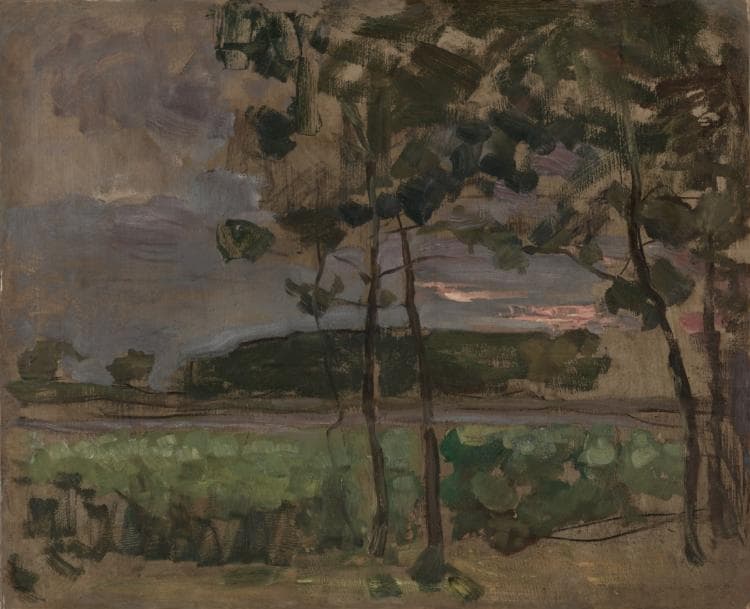 Field with Young Trees in the Foreground