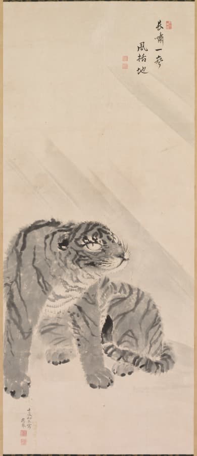 Tiger in Wind