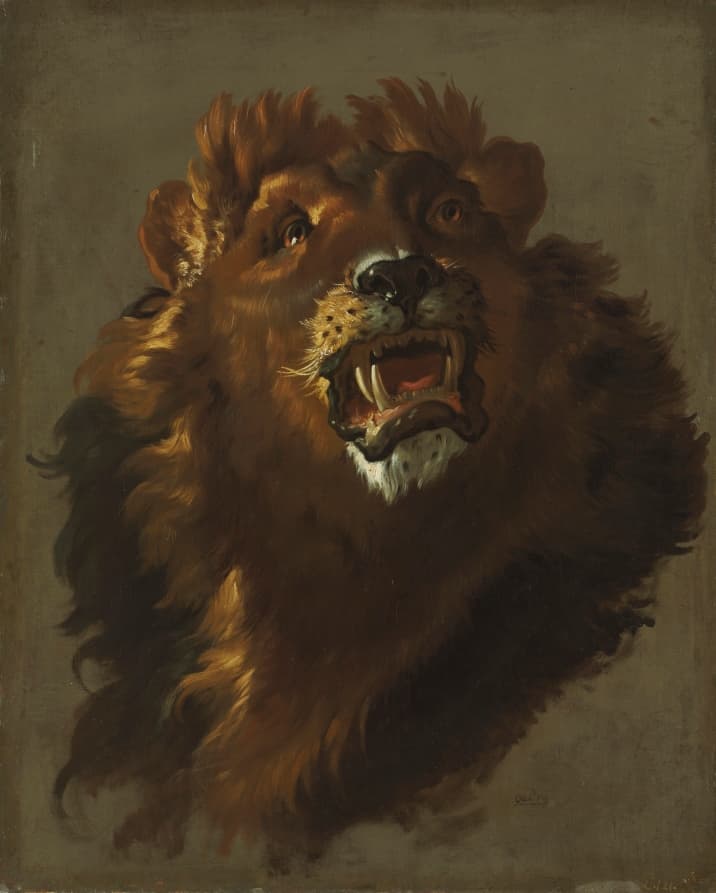 Lion — Giuseppe Baldrighi (Italian, 1723–1803)