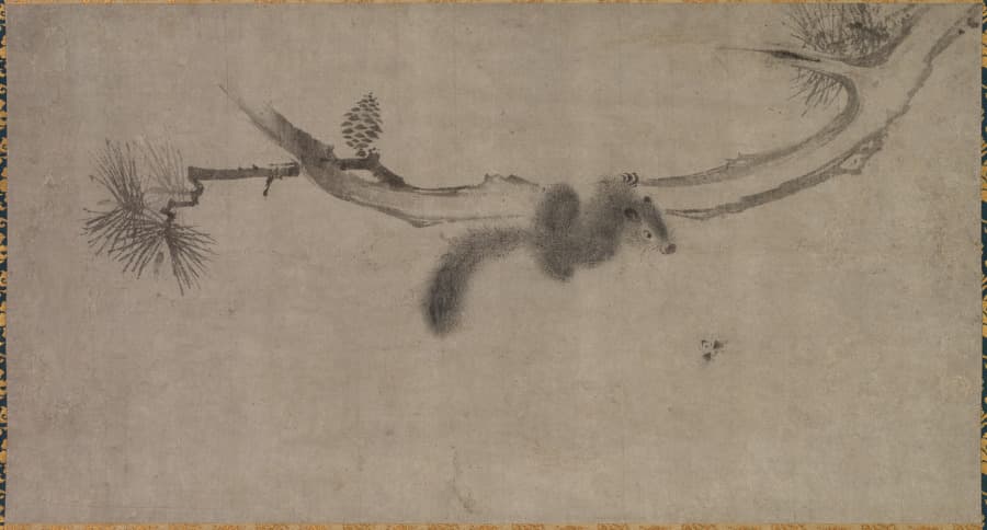 Squirrel on a Pine Branch